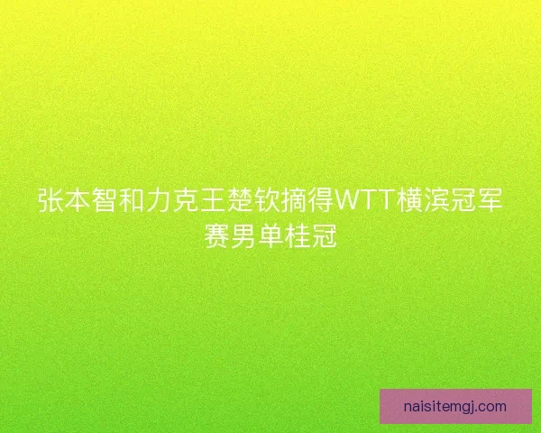 张本智和力克王楚钦摘得WTT横滨冠军赛男单桂冠