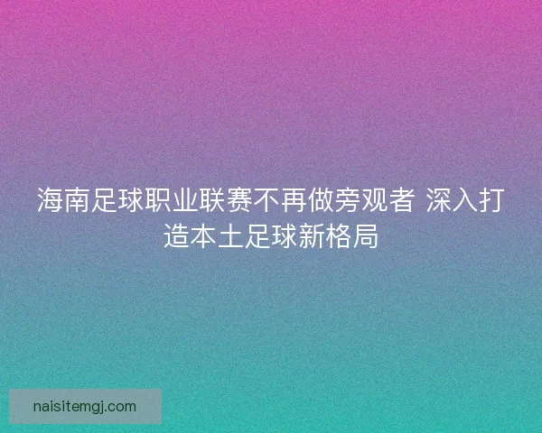 海南足球职业联赛不再做旁观者 深入打造本土足球新格局