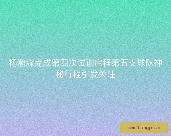 杨瀚森完成第四次试训启程第五支球队神秘行程引发关注