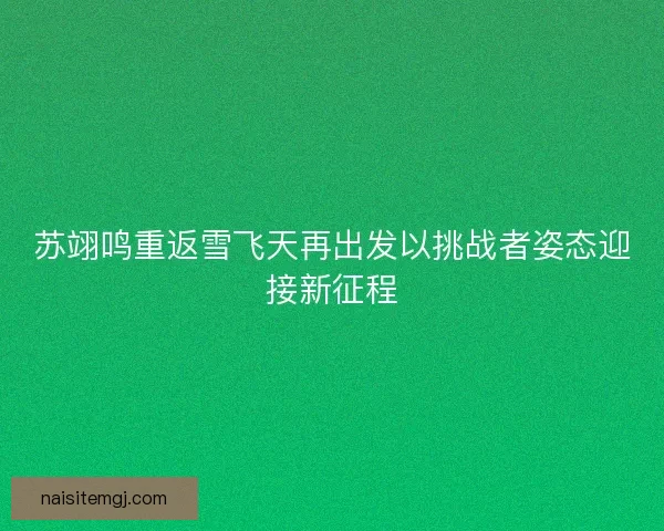 苏翊鸣重返雪飞天再出发以挑战者姿态迎接新征程