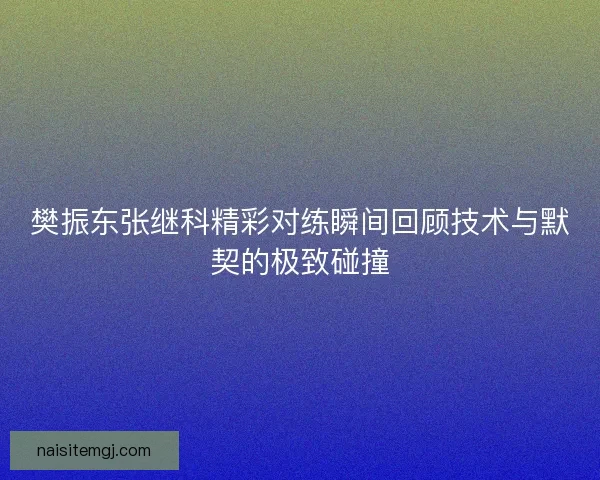 樊振东张继科精彩对练瞬间回顾技术与默契的极致碰撞